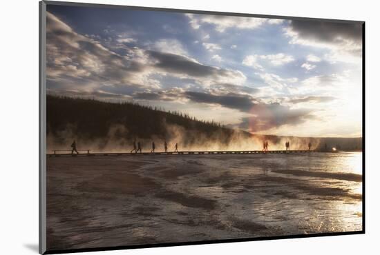 Walkway in mist. Yellowstone National Park, Wyoming.-Tom Norring-Mounted Photographic Print