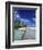 Walkway, Tahiti, French Polynesia, Oceania-Bill Bachmann-Framed Photographic Print