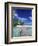 Walkway, Tahiti, French Polynesia, Oceania-Bill Bachmann-Framed Photographic Print