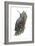 Wall Creeper (Tichodroma Muraria), Birds-Encyclopaedia Britannica-Framed Art Print