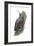 Wall Creeper (Tichodroma Muraria), Birds-Encyclopaedia Britannica-Framed Art Print