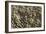 Wall Detail, Roman Site of Herculaneum, Italy-Natalie Tepper-Framed Photo