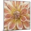 Wall Flower V-Alonzo Saunders-Mounted Photographic Print