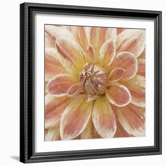 Wall Flower V-Alonzo Saunders-Framed Photographic Print