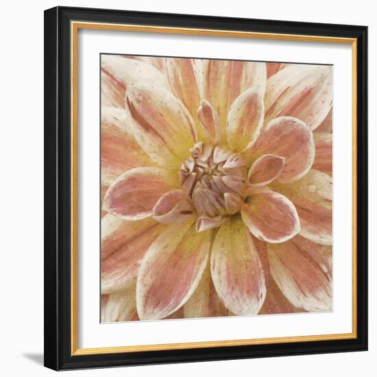 Wall Flower V-Alonzo Saunders-Framed Photographic Print