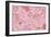 Wall Flowers Pink-Cora Niele-Framed Giclee Print