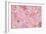 Wall Flowers Pink-Cora Niele-Framed Giclee Print