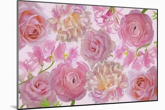 Wall Flowers Rose-Pink-Cora Niele-Mounted Giclee Print