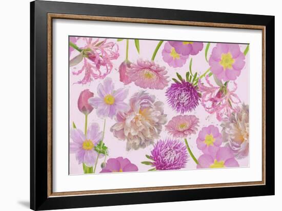 Wall Flowers Violet-Cora Niele-Framed Giclee Print