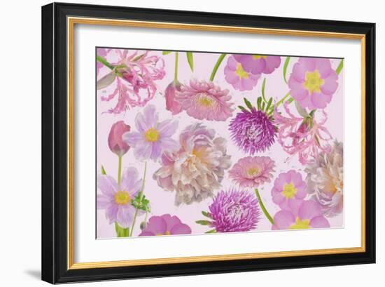 Wall Flowers Violet-Cora Niele-Framed Giclee Print