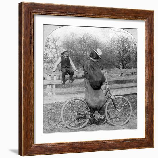 Wall I Swan, What Won't Them City Folks Do?-null-Framed Photographic Print