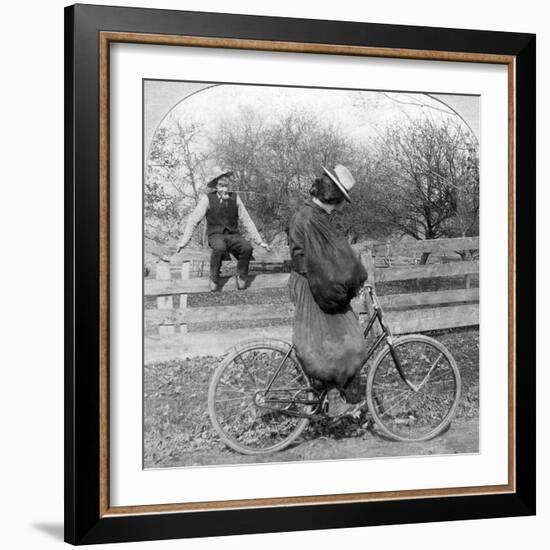 Wall I Swan, What Won't Them City Folks Do?-null-Framed Photographic Print