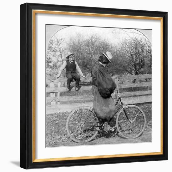 Wall I Swan, What Won't Them City Folks Do?-null-Framed Photographic Print