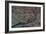 Wall in Remote Location in England-Clive Nolan-Framed Photographic Print