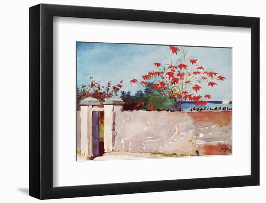 Wall, Nassau, c.1898-Winslow Homer-Framed Premium Giclee Print