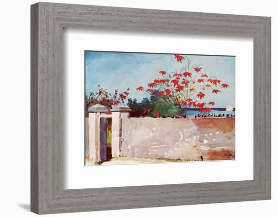 Wall, Nassau, c.1898-Winslow Homer-Framed Premium Giclee Print