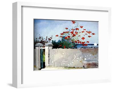 A Wall Winslow Homer Watercolor Reproductions Fine Art Print Nassau