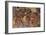 'Wall painting from the Caves of Ajanta', c480-Unknown-Framed Giclee Print