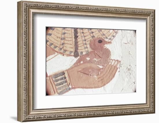 Wall Painting of Bird in Hand in Tomb of Nakht, Valley of Nobles, UNESCO World Heritage Site-Walter Rawlings-Framed Photographic Print