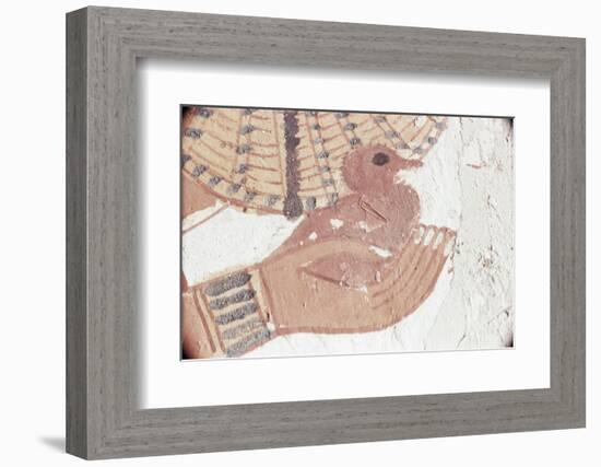 Wall Painting of Bird in Hand in Tomb of Nakht, Valley of Nobles, UNESCO World Heritage Site-Walter Rawlings-Framed Photographic Print