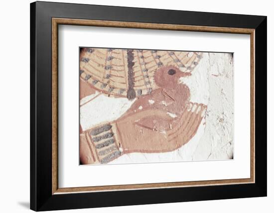 Wall Painting of Bird in Hand in Tomb of Nakht, Valley of Nobles, UNESCO World Heritage Site-Walter Rawlings-Framed Photographic Print