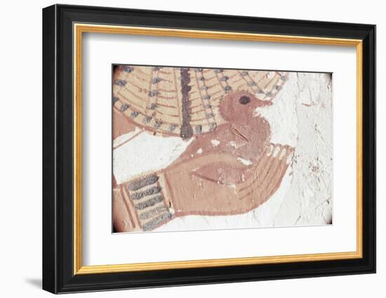 Wall Painting of Bird in Hand in Tomb of Nakht, Valley of Nobles, UNESCO World Heritage Site-Walter Rawlings-Framed Photographic Print