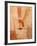 Wall Painting of Figures Holding Hands, Egypt-Michele Molinari-Framed Photographic Print
