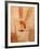 Wall Painting of Figures Holding Hands, Egypt-Michele Molinari-Framed Photographic Print