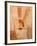 Wall Painting of Figures Holding Hands, Egypt-Michele Molinari-Framed Photographic Print