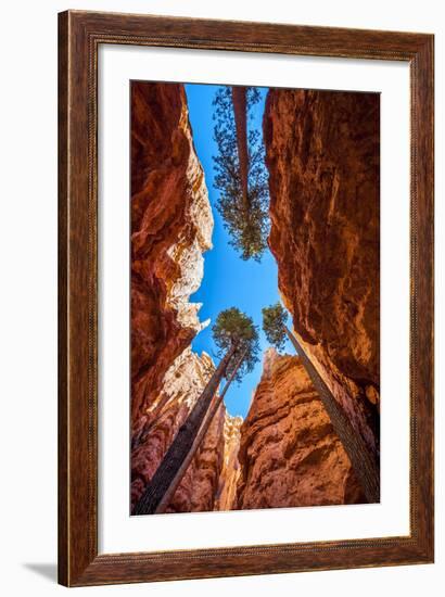 Wall Street, Bryce Canyon National Park, Utah-Michael DeFreitas-Framed Photographic Print