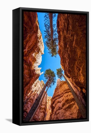 Wall Street, Bryce Canyon National Park, Utah-Michael DeFreitas-Framed Premier Image Canvas