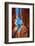 Wall Street, Bryce Canyon National Park, Utah-Michael DeFreitas-Framed Photographic Print