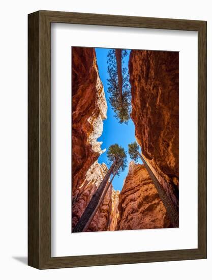 Wall Street, Bryce Canyon National Park, Utah-Michael DeFreitas-Framed Photographic Print