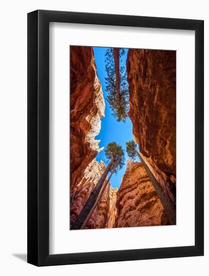 Wall Street, Bryce Canyon National Park, Utah-Michael DeFreitas-Framed Photographic Print