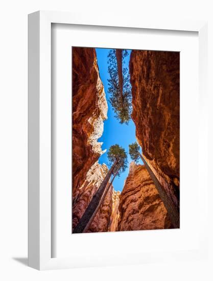 Wall Street, Bryce Canyon National Park, Utah-Michael DeFreitas-Framed Photographic Print