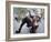 Wall Street Bull-Carol Highsmith-Framed Photo