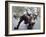 Wall Street Bull-Carol Highsmith-Framed Photo