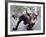 Wall Street Bull-Carol Highsmith-Framed Photo