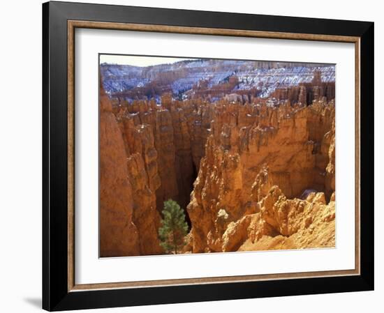 Wall Street, Navajo Loop Trail, Bryce Canyon National Park, Utah, USA-null-Framed Photographic Print