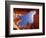 Wall Street Trail at Bryce Canyon, Utah, USA-Daisy Gilardini-Framed Photographic Print