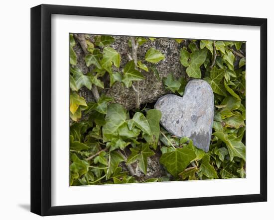 Wall with ivy, heart from stone, close up, still life-Andrea Haase-Framed Photographic Print