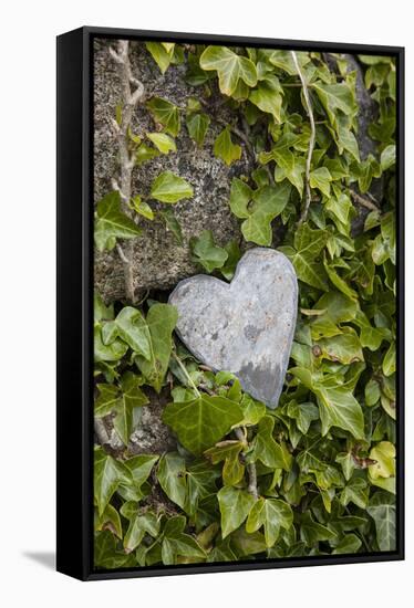 Wall with ivy, heart from stone, close up, still life-Andrea Haase-Framed Stretched Canvas