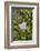 Wall with ivy, heart from stone, close up, still life-Andrea Haase-Framed Photographic Print