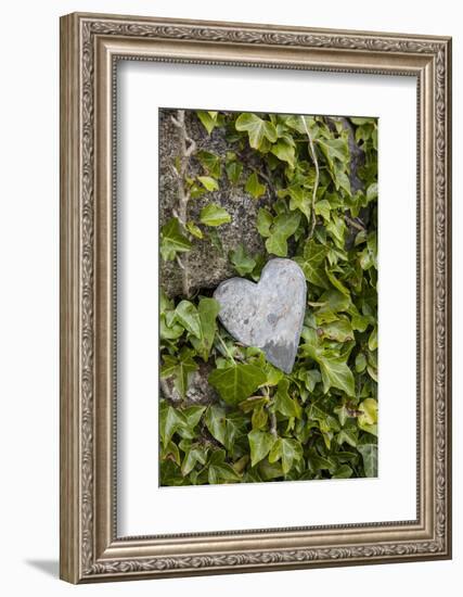 Wall with ivy, heart from stone, close up, still life-Andrea Haase-Framed Photographic Print