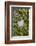 Wall with ivy, heart from stone, close up, still life-Andrea Haase-Framed Photographic Print