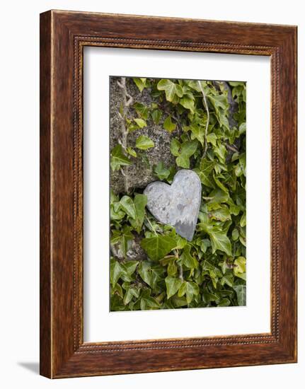 Wall with ivy, heart from stone, close up, still life-Andrea Haase-Framed Photographic Print