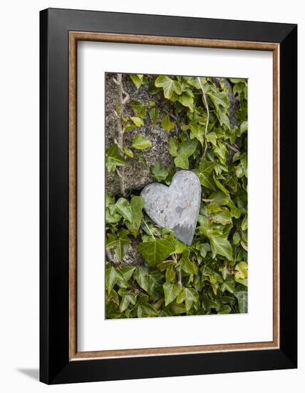 Wall with ivy, heart from stone, close up, still life-Andrea Haase-Framed Photographic Print