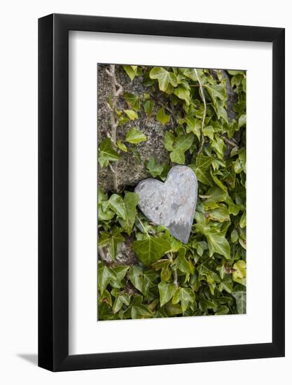 Wall with ivy, heart from stone, close up, still life-Andrea Haase-Framed Photographic Print