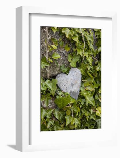 Wall with ivy, heart from stone, close up, still life-Andrea Haase-Framed Photographic Print