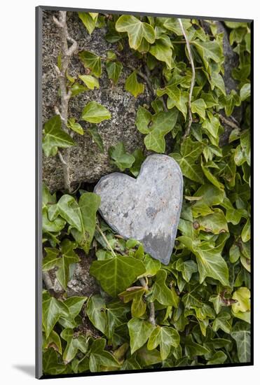 Wall with ivy, heart from stone, close up, still life-Andrea Haase-Mounted Photographic Print